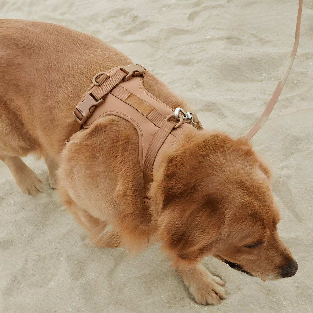 Soft Dog Bed Cushion