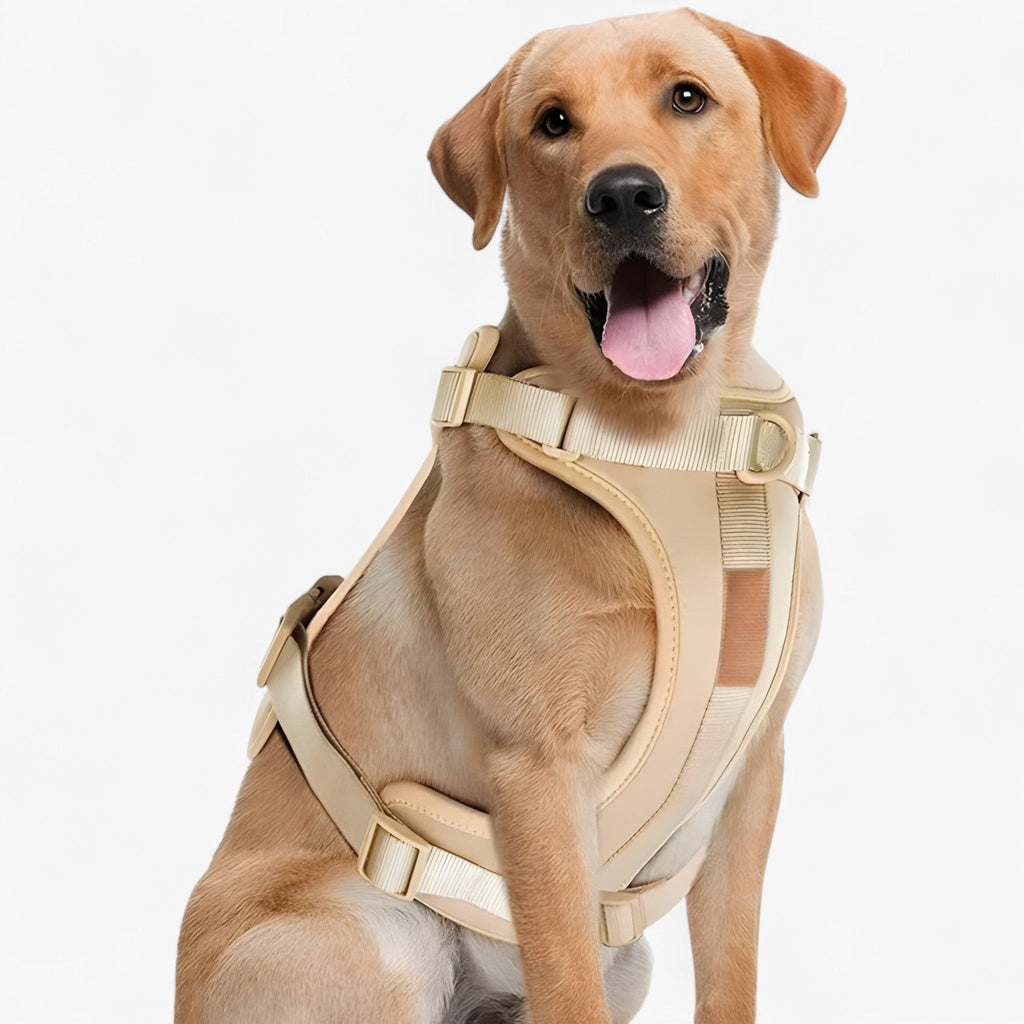 Soft Dog Bed Cushion