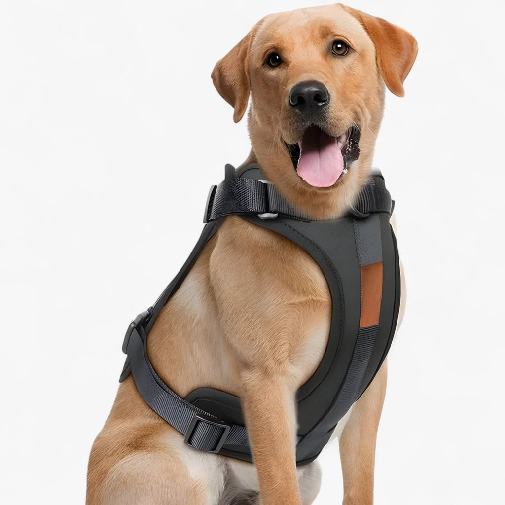 Soft Dog Bed Cushion