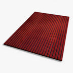 Non-Slip Indoor & Outdoor Door Mat