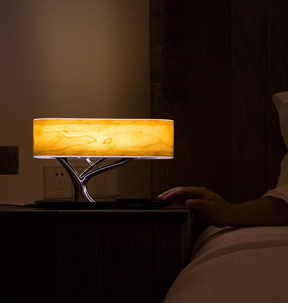 Modern LED Table Lamp