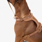 Soft Dog Bed Cushion