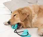 Interactive Dog Tug Toy