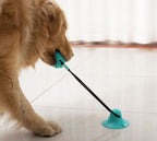 Interactive Dog Tug Toy