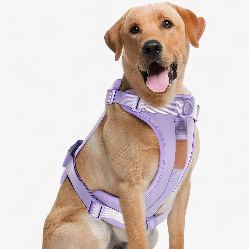 Soft Dog Bed Cushion