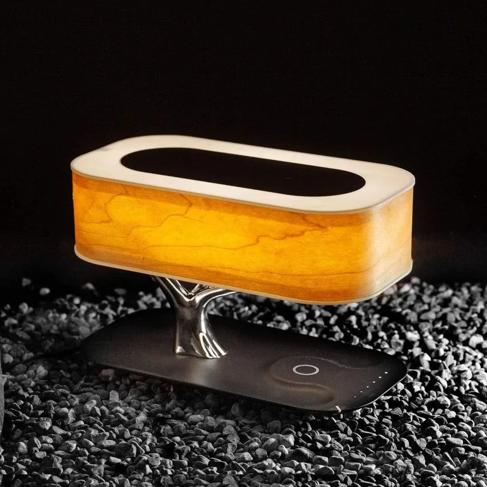 Modern LED Table Lamp