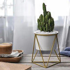 Ceramic Flower Pot with Iron Stand