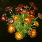 Flower Inspired LED Table Lamp with USB