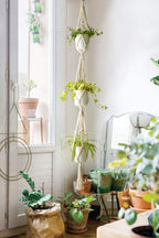 Macrame Plant Hanger for Home