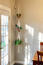 Macrame Plant Hanger for Home