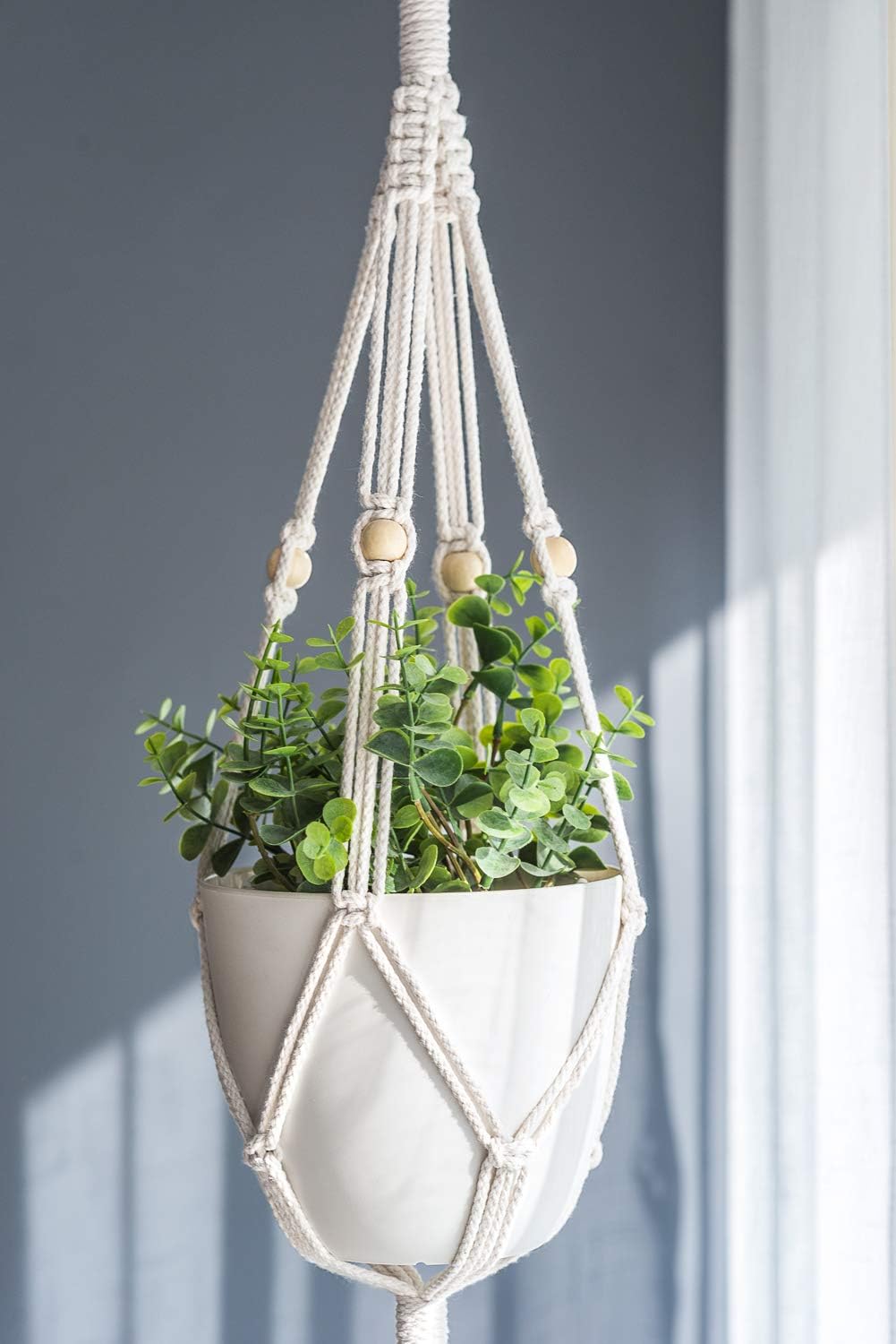 Macrame Plant Hanger for Home