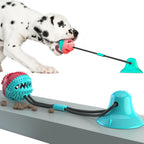 Interactive Dog Tug Toy