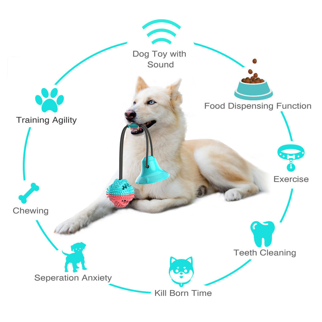 Interactive Dog Tug Toy