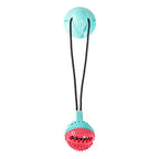 Interactive Dog Tug Toy