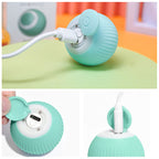 Interactive Rolling Pet Toy Ball