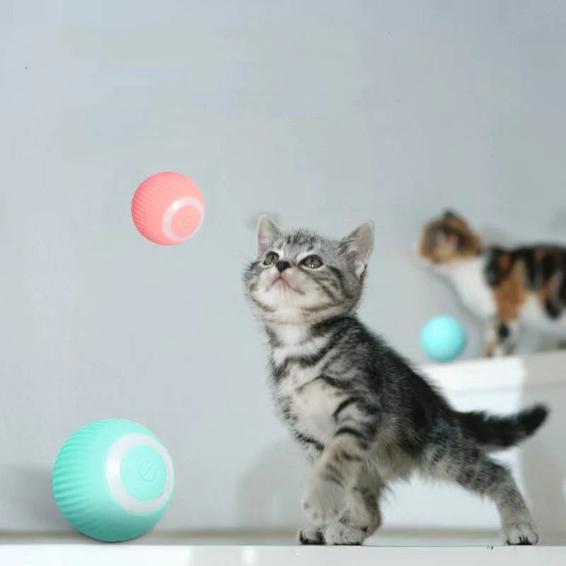 Interactive Rolling Pet Toy Ball