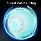 Interactive Rolling Pet Toy Ball