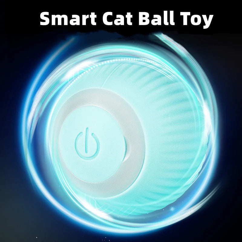 Interactive Rolling Pet Toy Ball