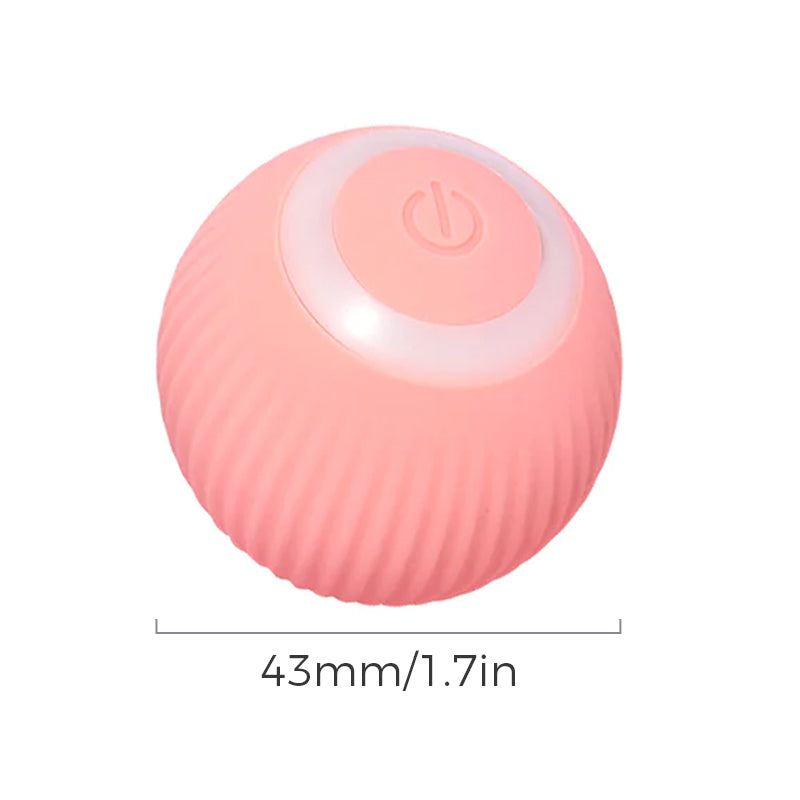 Interactive Rolling Pet Toy Ball