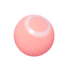 Interactive Rolling Pet Toy Ball
