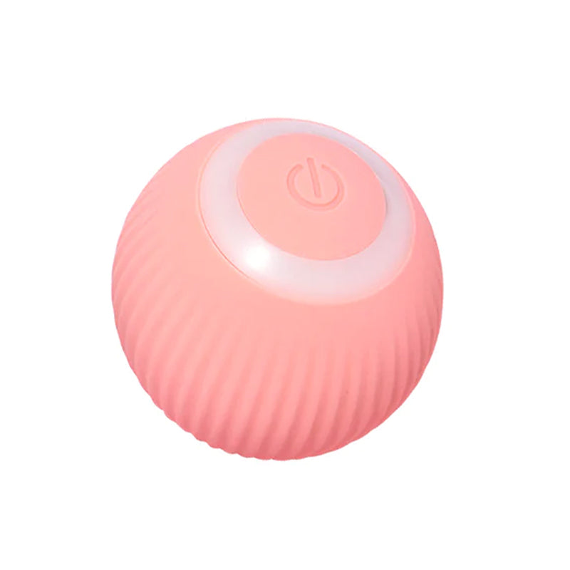 Interactive Rolling Pet Toy Ball