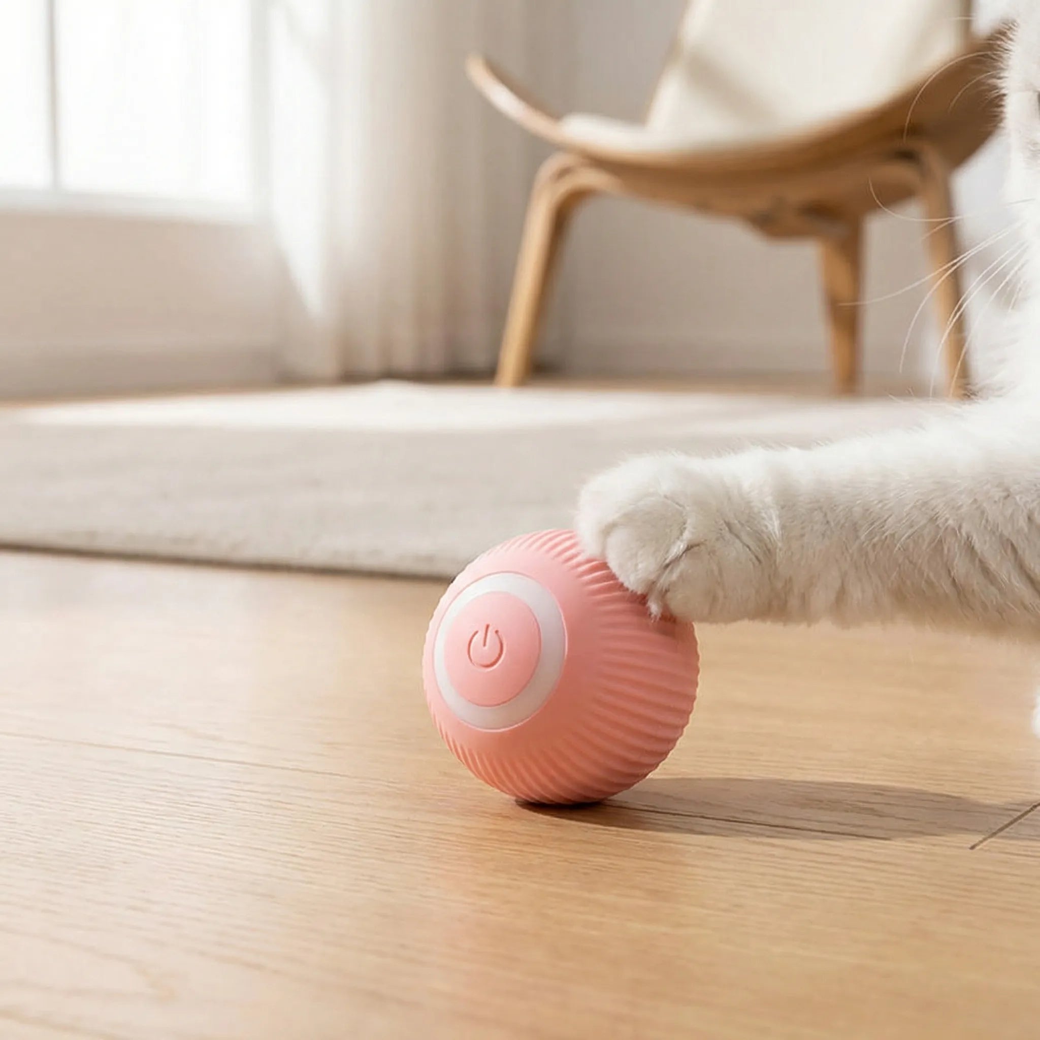 Interactive Rolling Pet Toy Ball