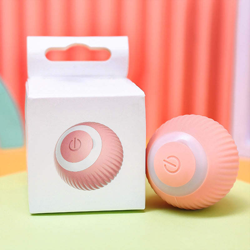 Interactive Rolling Pet Toy Ball
