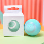 Interactive Rolling Pet Toy Ball