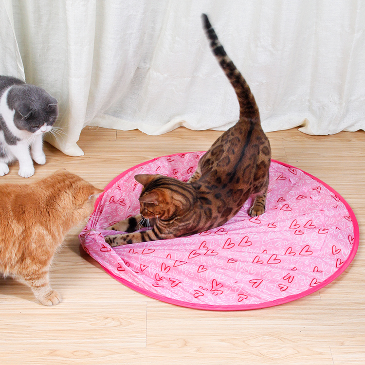 Interactive Rolling Pet Toy Ball