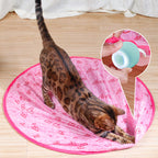 Interactive Rolling Pet Toy Ball