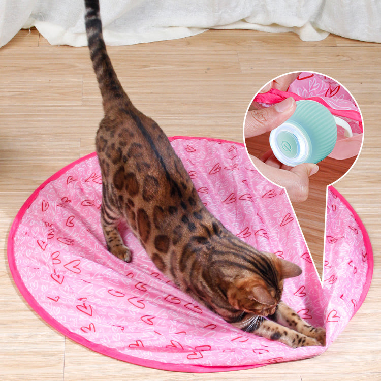 Interactive Rolling Pet Toy Ball