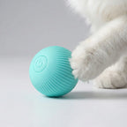 Interactive Rolling Pet Toy Ball