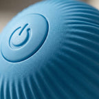 Interactive Rolling Pet Toy Ball