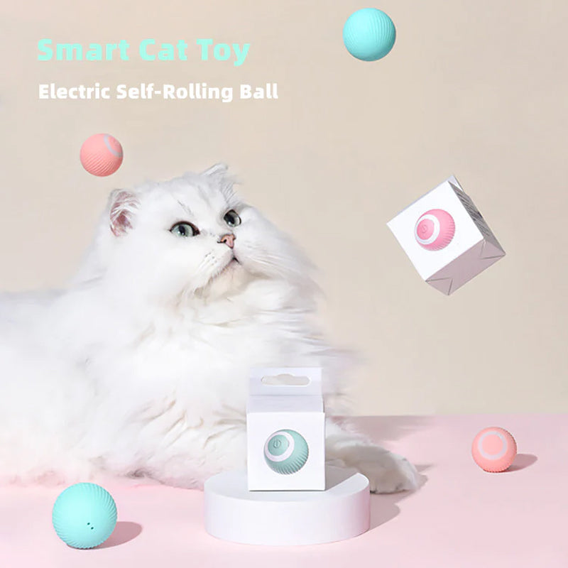 Interactive Rolling Pet Toy Ball