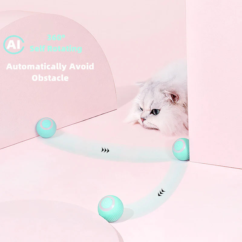 Interactive Rolling Pet Toy Ball