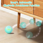 Interactive Rolling Pet Toy Ball
