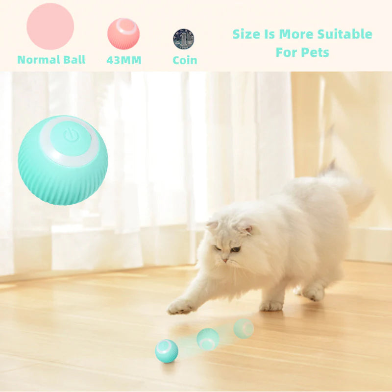 Interactive Rolling Pet Toy Ball