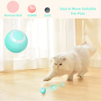 Interactive Rolling Pet Toy Ball
