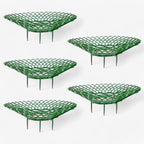 Strawberry Plant Holder Space-Saving