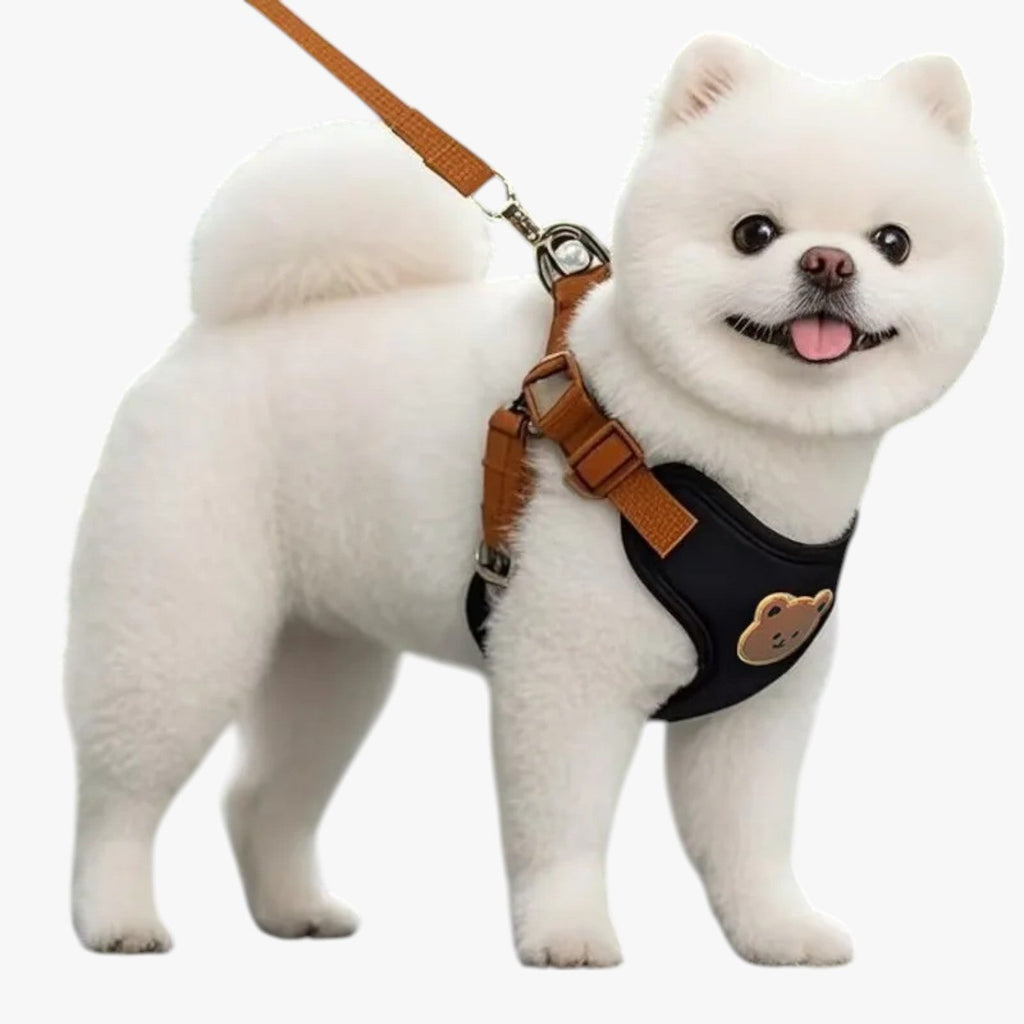 Breathable Pet Harness with Leash