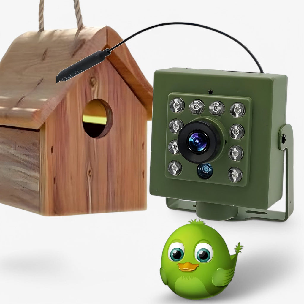 WiFi Birdhouse Nest Camera