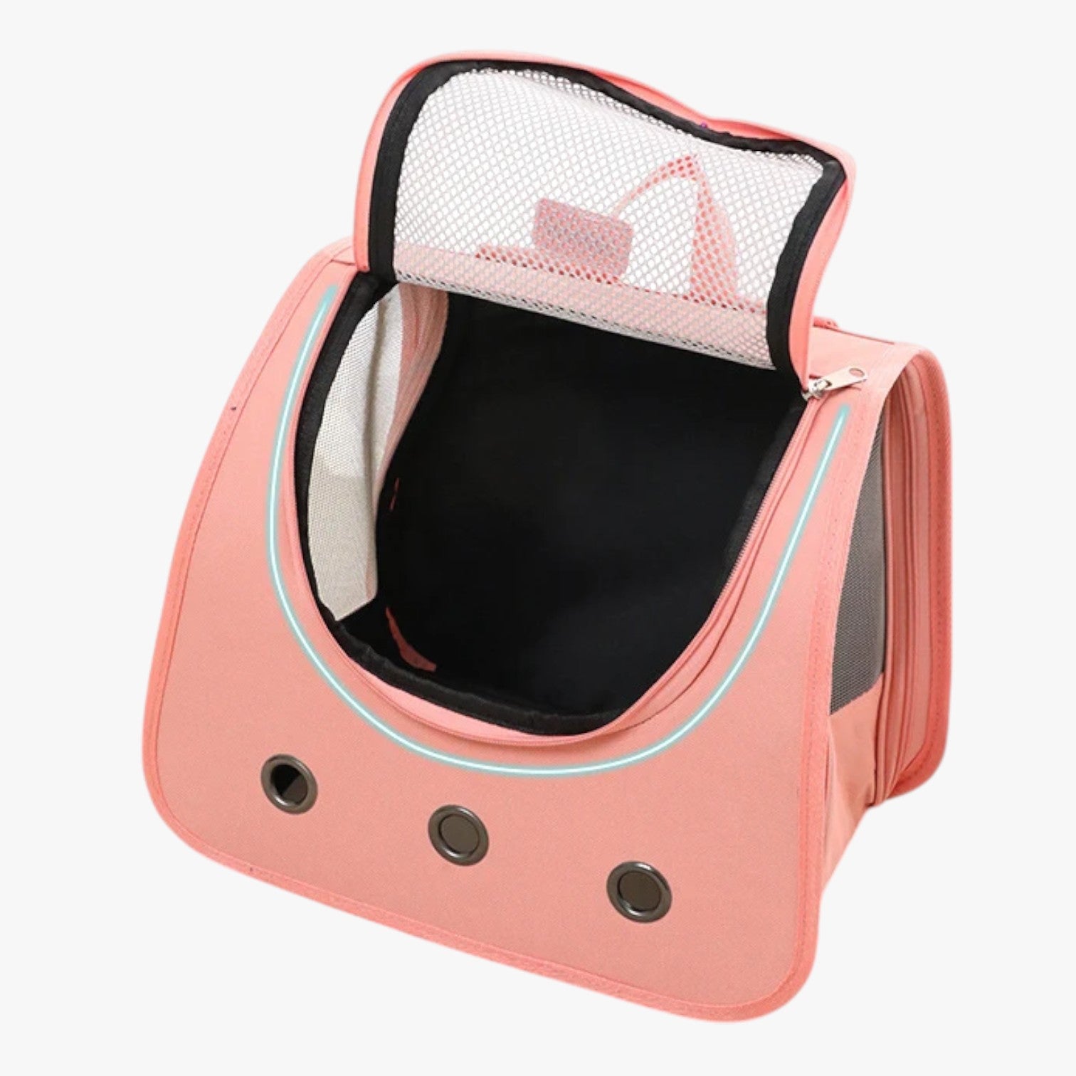 Foldable Dog Carrier Bag