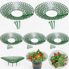 Strawberry Plant Holder Space-Saving
