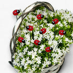 Ladybug Garden Stakes Set