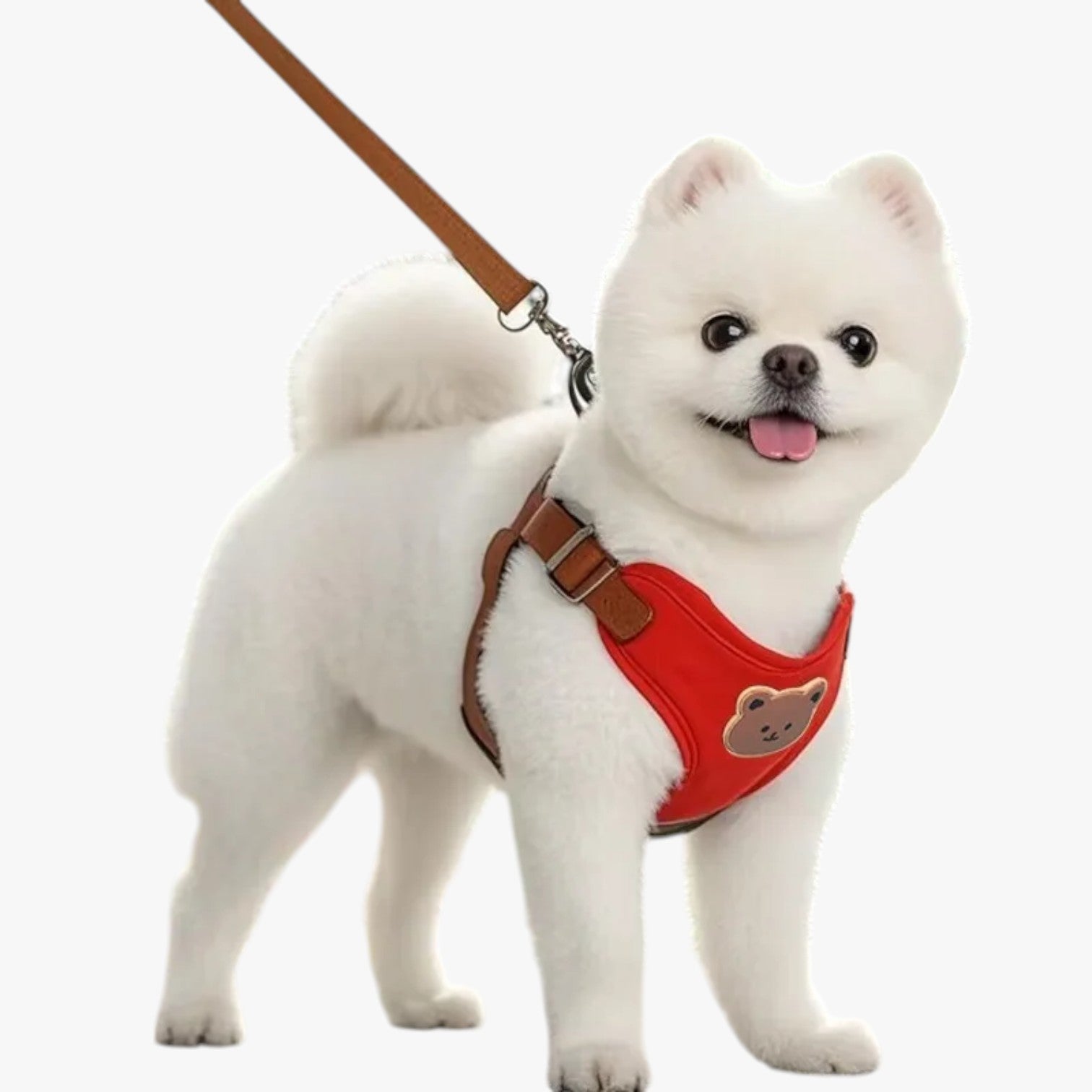 Breathable Pet Harness with Leash