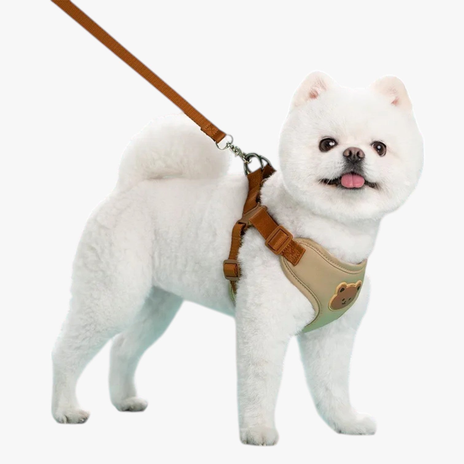 Breathable Pet Harness with Leash