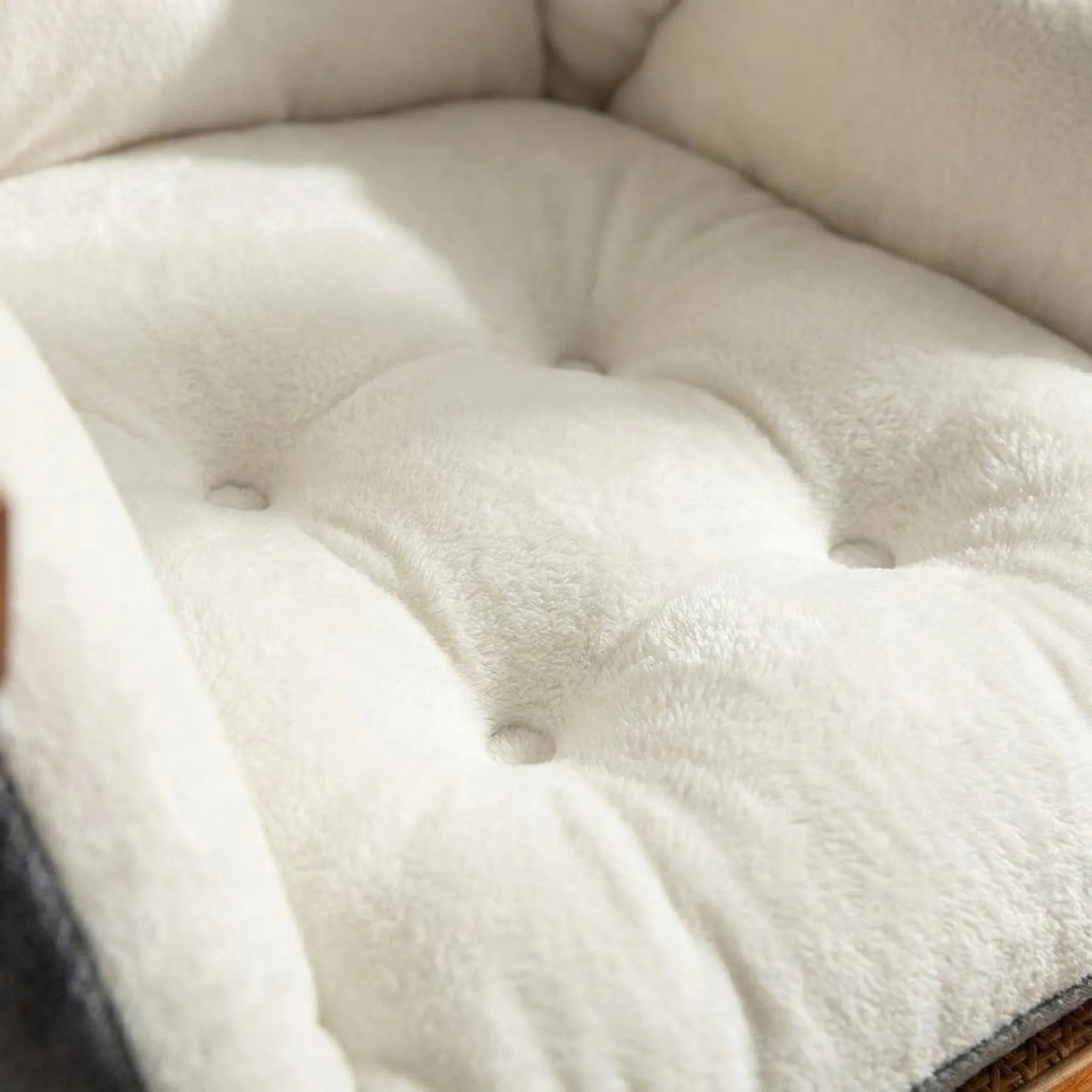 Seat Cushion with Back Support