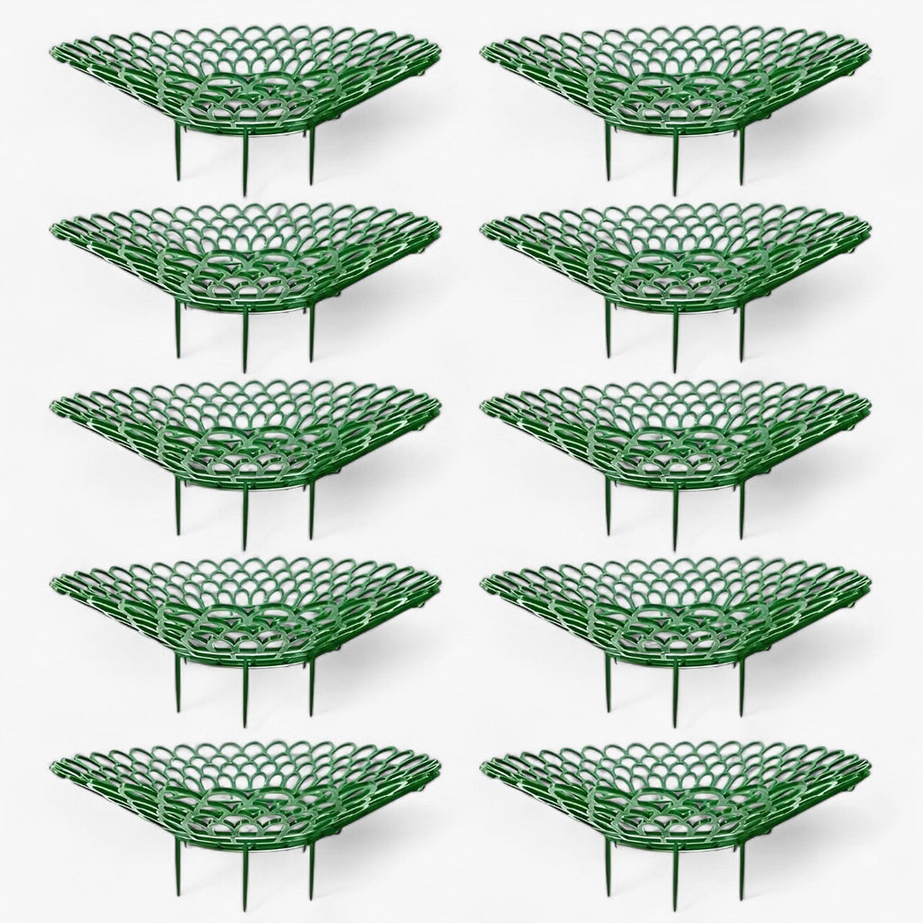 Strawberry Plant Holder Space-Saving