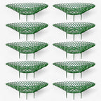 Strawberry Plant Holder Space-Saving