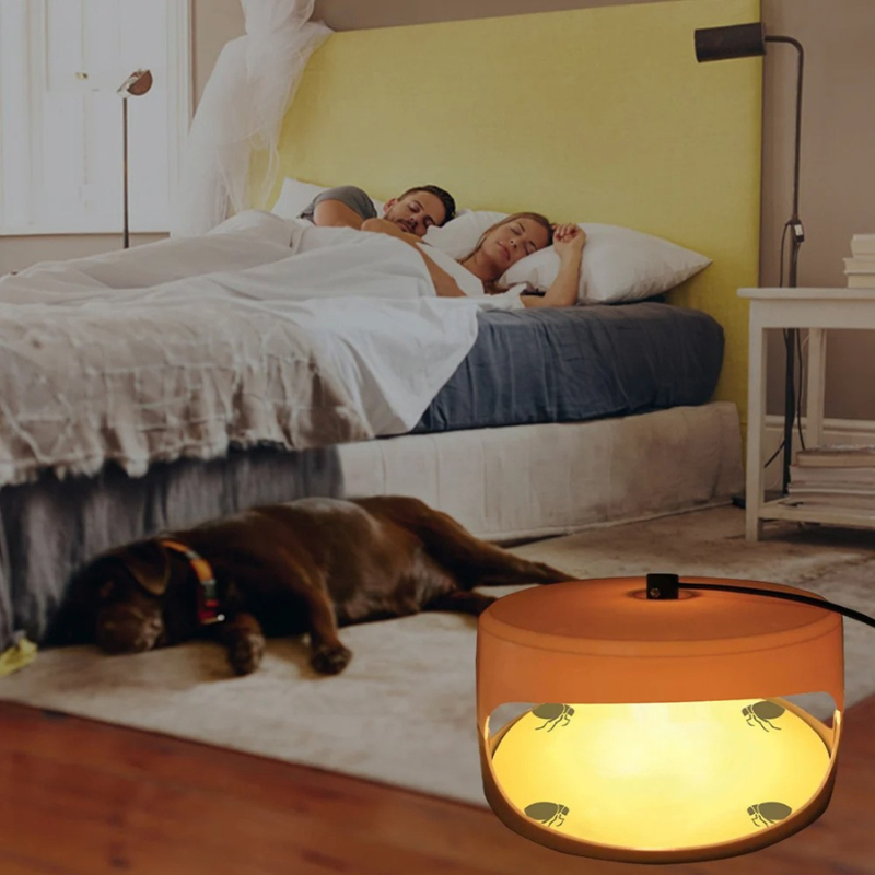 Indoor Insect Trap with Sticky Pads